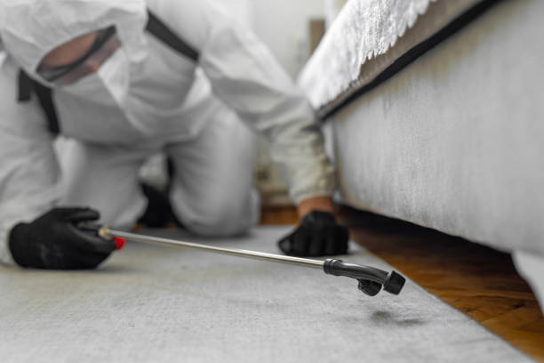 Professional Bed Bug Control technician working in Suwannee County County, FL